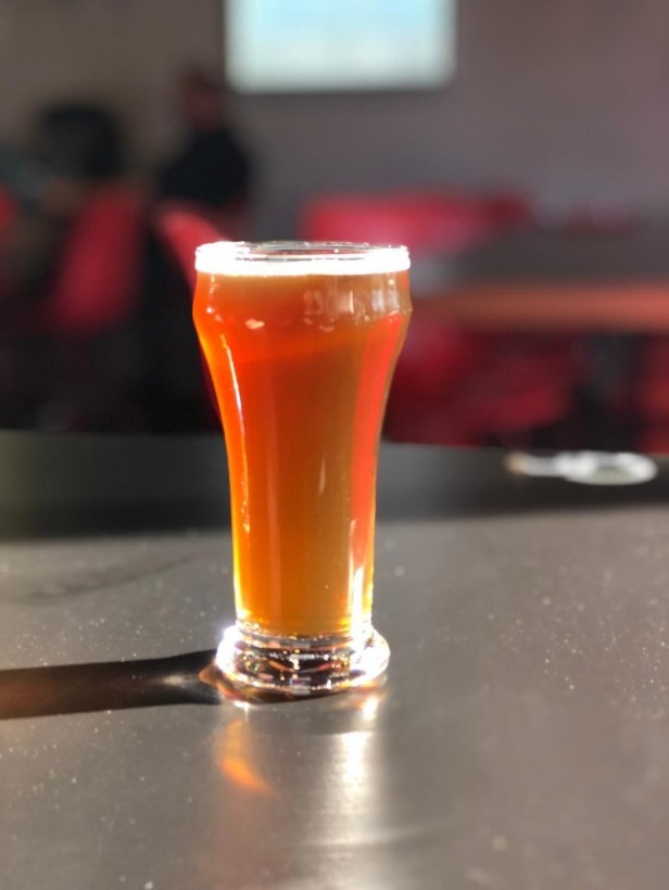 red ale steady brew.jpg